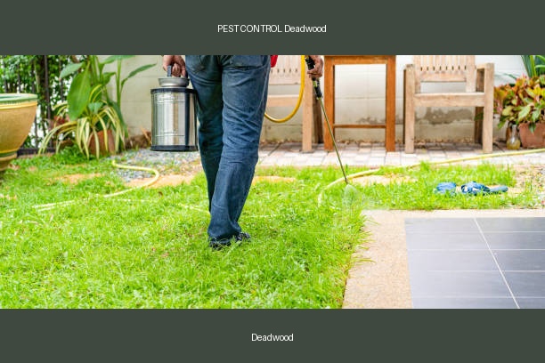 PEST CONTROL Deadwood